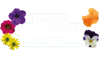 kwekerij-van-dommelen.png