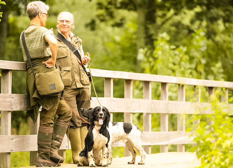 Engelse Springer Spaniel Club Nederland