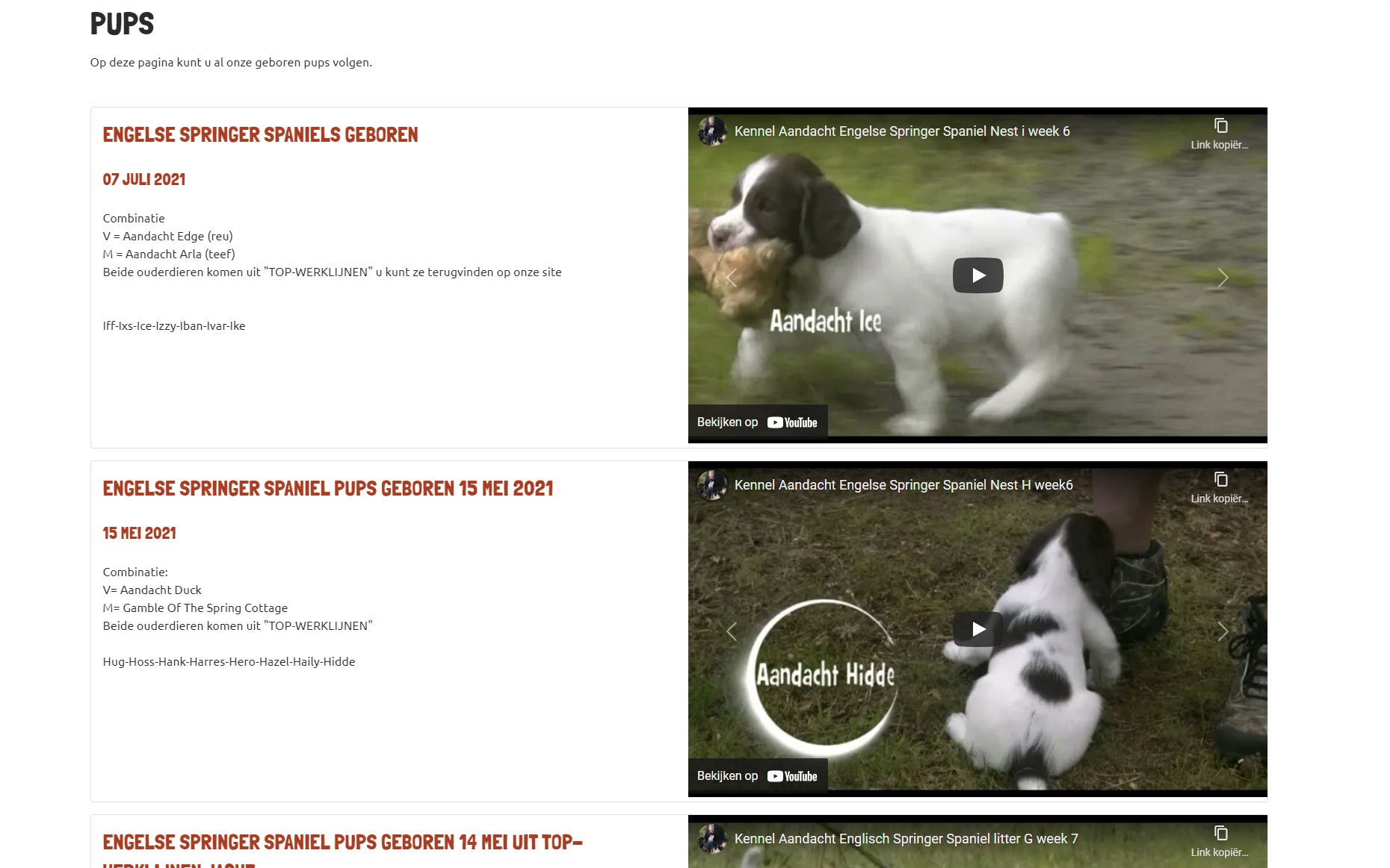 Screenshot Pups Kennel Aandacht