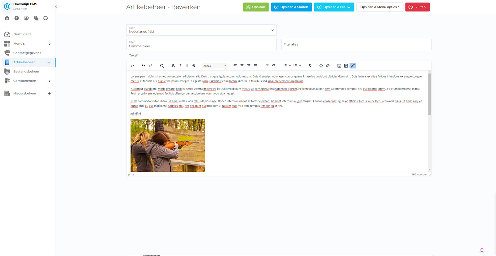 Downdijk CMS Bilbo article management