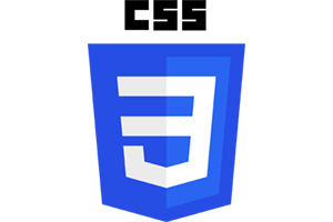 CSS3 brand